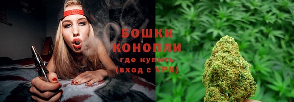 молекула духа Богородицк