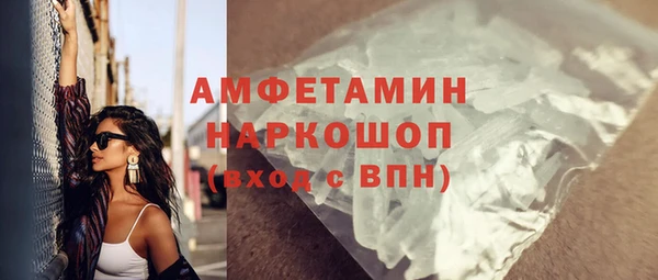 молекула духа Богородицк