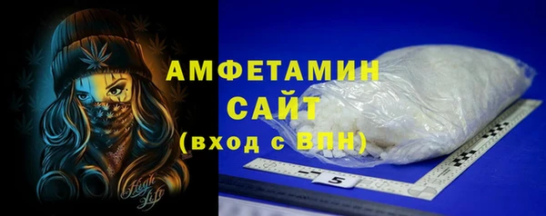 молекула духа Богородицк