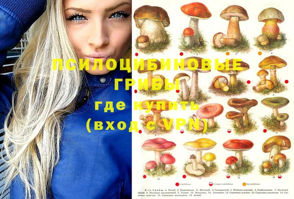 молекула духа Богородицк