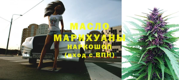 молекула духа Богородицк