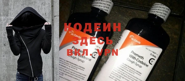молекула духа Богородицк