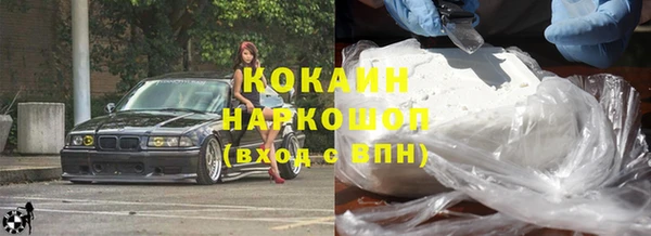 молекула духа Богородицк